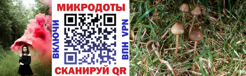 где купить наркоту  Данков  Галлюциногенные грибы прущие грибы 